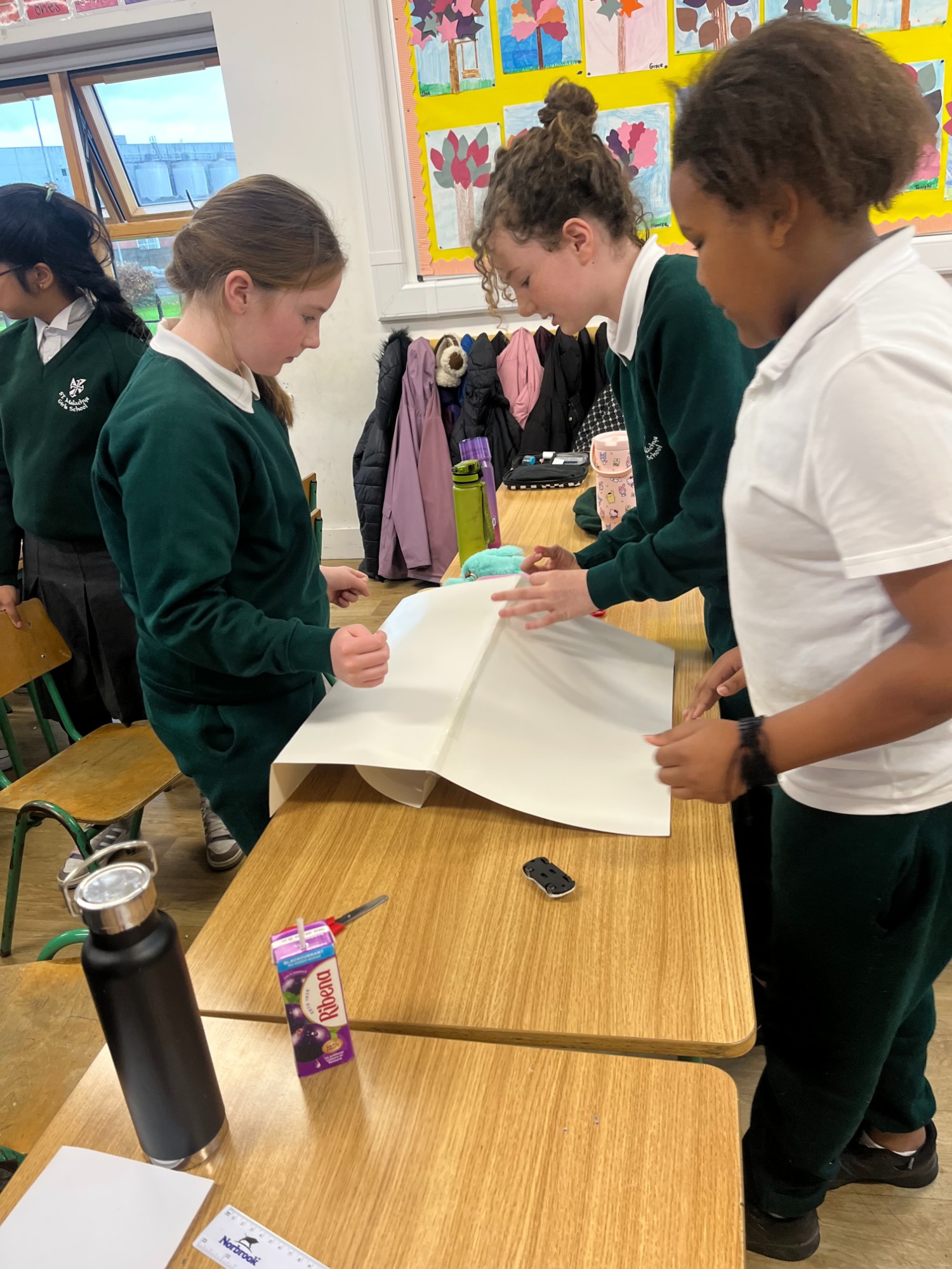 science-week-ramps-st-malachy-s-girls-school